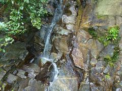 -海南热带雨林国家公园吊罗山景区