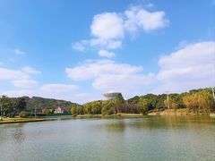 -上海佘山茂御臻品之选酒店(原佘山艾美酒店)