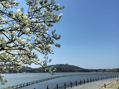 -上海月湖雕塑公园