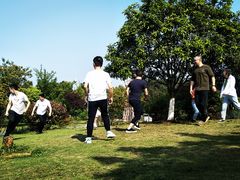 -铁山坪森林公园