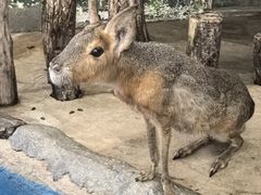 -正佳雨林生态植物园