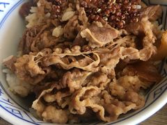 -吉野家(顺义站前北街店)