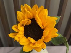 -花锦堂·隐庐