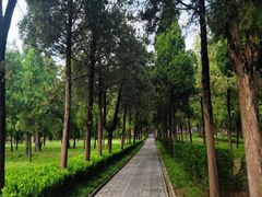 -中岳庙