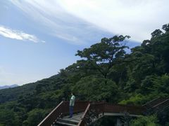 -广州市石门国家森林公园