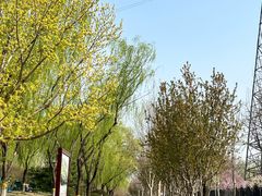 -永定河休闲森林公园