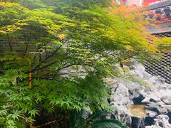 -茶颜悦色(坡子街幽兰阁店)