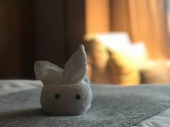 -上海佘山世茂艾美酒店