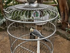 -南宫五洲植物乐园