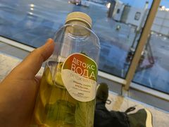 -谢列梅捷沃国际机场