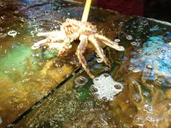 -蟹之国·精品蟹料理(极地店)