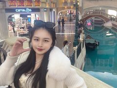 -澳门威尼斯人综合度假区