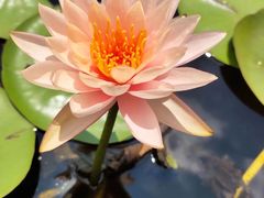 -华南国家植物园-售票处