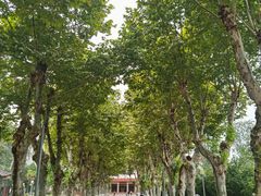 -四川大学(望江校区)