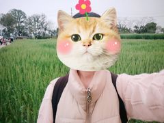 -白鹭湾湿地公园