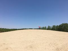 -东郊湿地公园