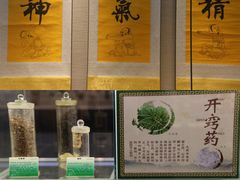 -广东中医药博物馆