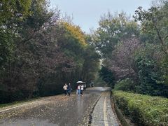 -南京市江宁方山