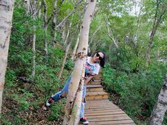 -白草畔自然风景区