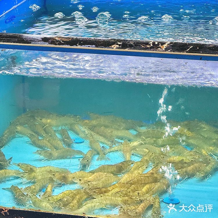 吃上了!正宗潮汕鱼生原来是这样的!