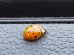 -泗洪洪泽湖湿地景区