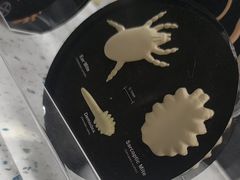 -半岛宠物医院24小时(白果林店)