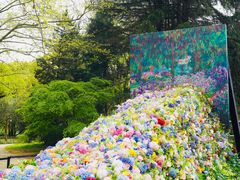 -上海共青森林公园