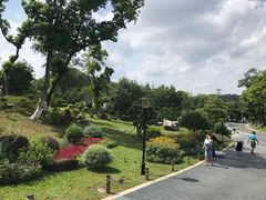 -东莞植物园