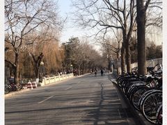 -近春园遗址