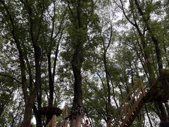 -WeLope紫金山探险公园