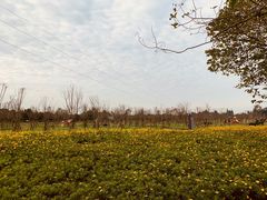 -夏河溪乡野公园