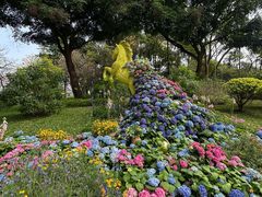 -云溪植物园