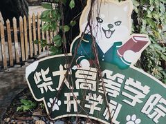 -柴犬高等学院·狗咖·柴犬售卖·宠物训练
