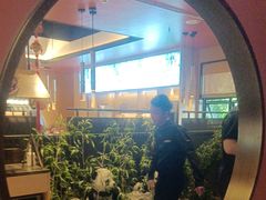 -将军府·鸡毛店(武侯祠店)