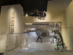 -国家自然博物馆