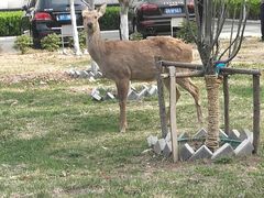 -银树楼(紫玉山庄东区店)