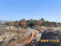 -白水寺森林公园