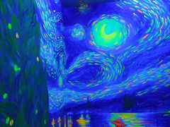 -天津梵高星空艺术馆(天河城旗舰店)