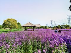 -上海杨姆庄园