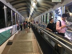 -中环半山扶手电梯