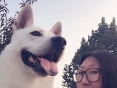 -宠颐生中康贝怡动物医院