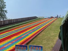 -黄海国家森林公园