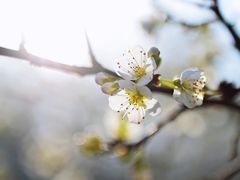 -长春公园(普阳街道)