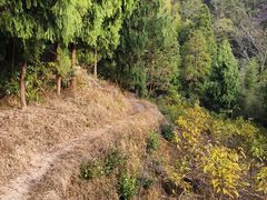 -雁荡山雁湖景区