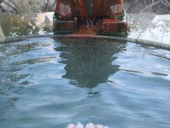 -仁爱团泊湖温泉中心