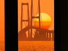 -宝安西湾红树林湿地公园