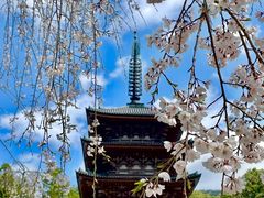 -醍醐寺