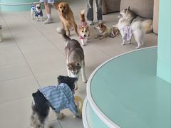 -怪兽屋·羊驼·猫咖·狗咖(俊华广场店)