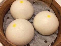 -美心皇宫(屯门大会堂店)