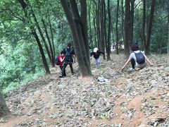 -火炉山森林公园